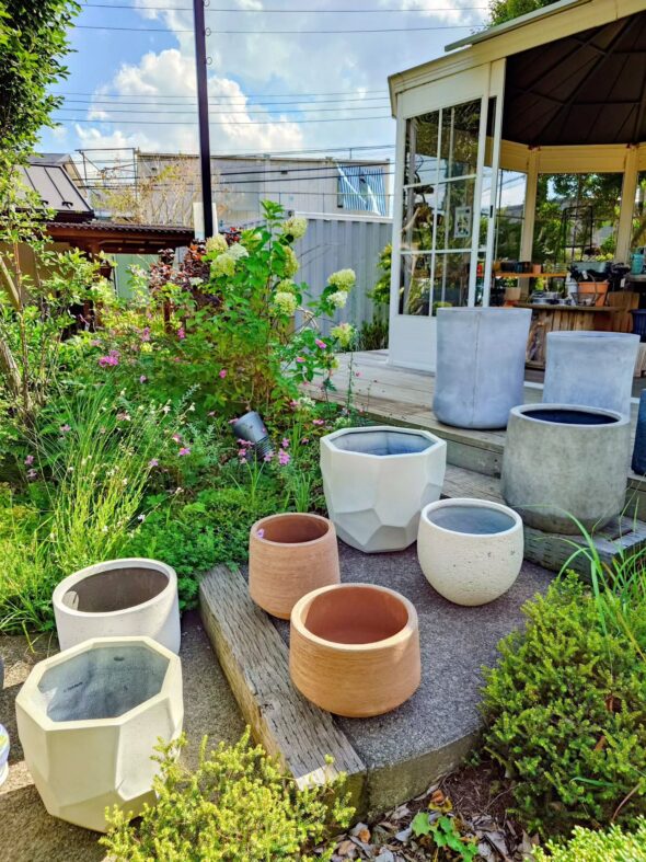 お気に入りの植物をもっと素敵に——鉢・鉢カバー入荷のお知らせ