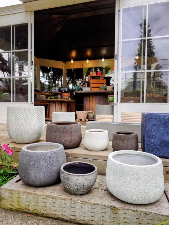 お気に入りの植物をもっと素敵に——鉢・鉢カバー入荷のお知らせ