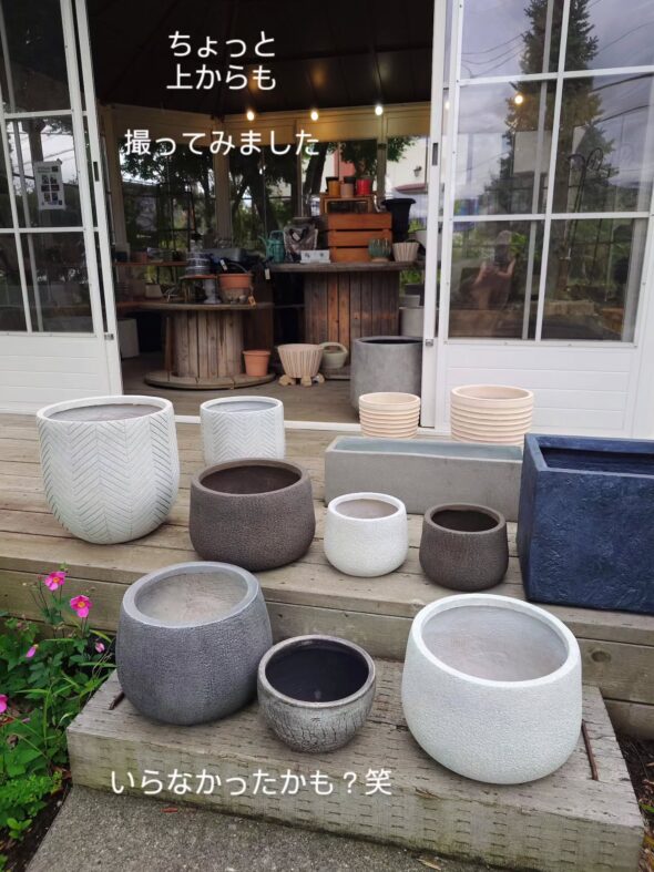 お気に入りの植物をもっと素敵に——鉢・鉢カバー入荷のお知らせ