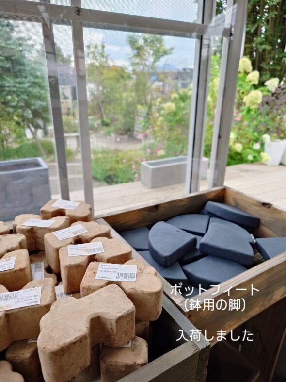 お気に入りの植物をもっと素敵に——鉢・鉢カバー入荷のお知らせ