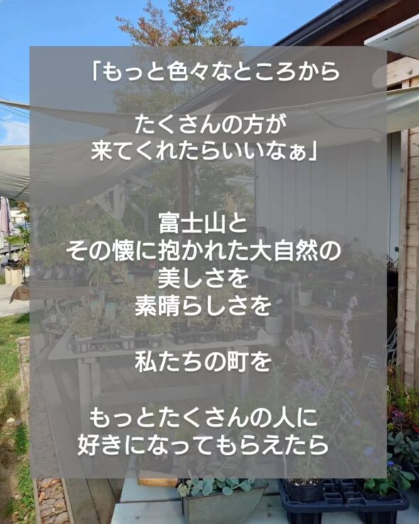 感謝を込めて——抽選で10名様にガジュマルをプレゼント