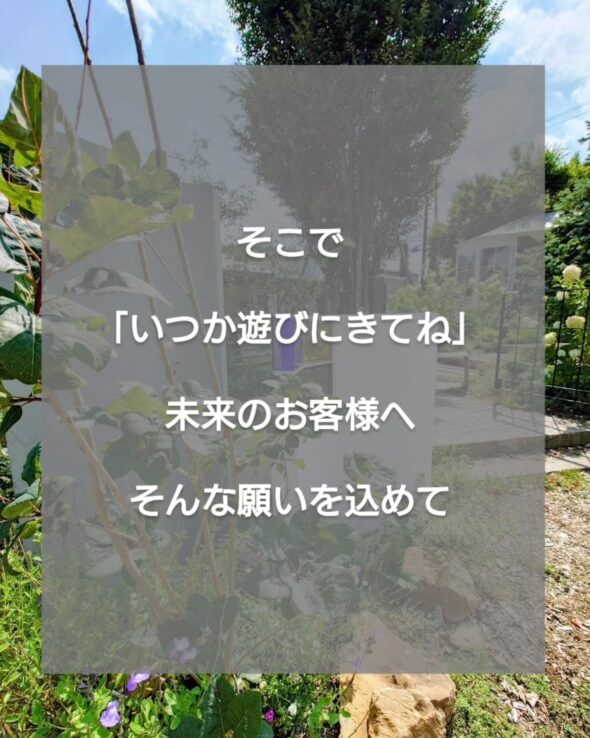 感謝を込めて——抽選で10名様にガジュマルをプレゼント