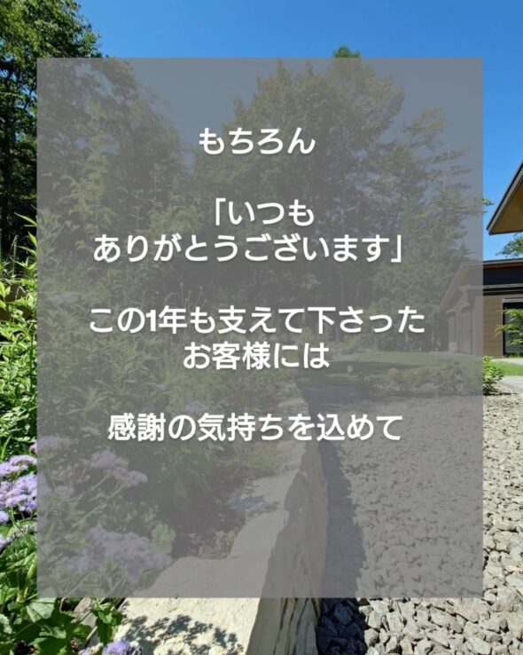 感謝を込めて——抽選で10名様にガジュマルをプレゼント