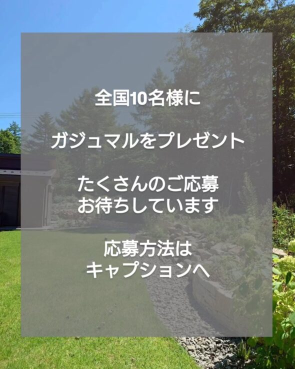 感謝を込めて——抽選で10名様にガジュマルをプレゼント