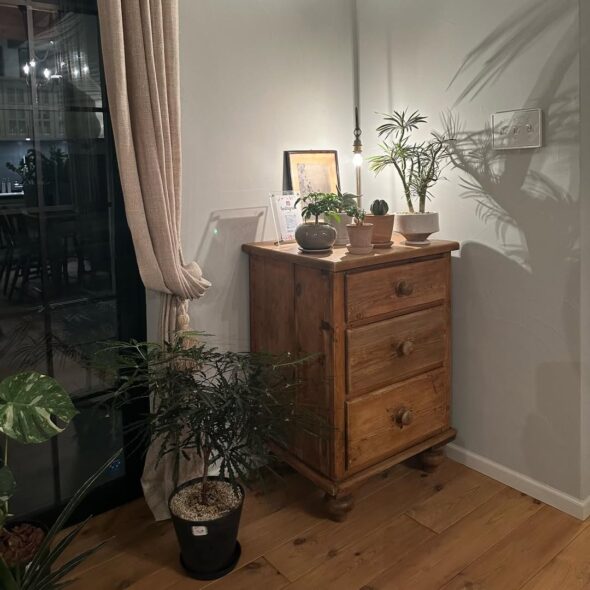 新しい緑発見