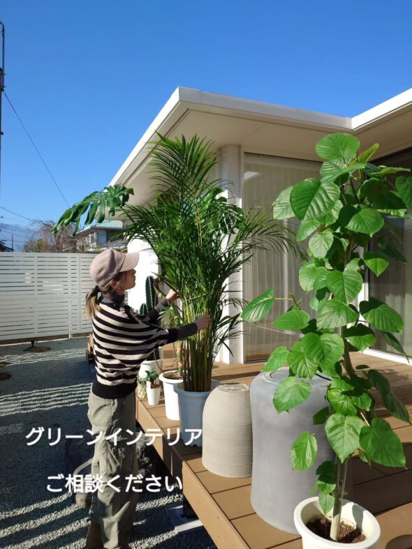 心地いい緑のある暮らしへ
