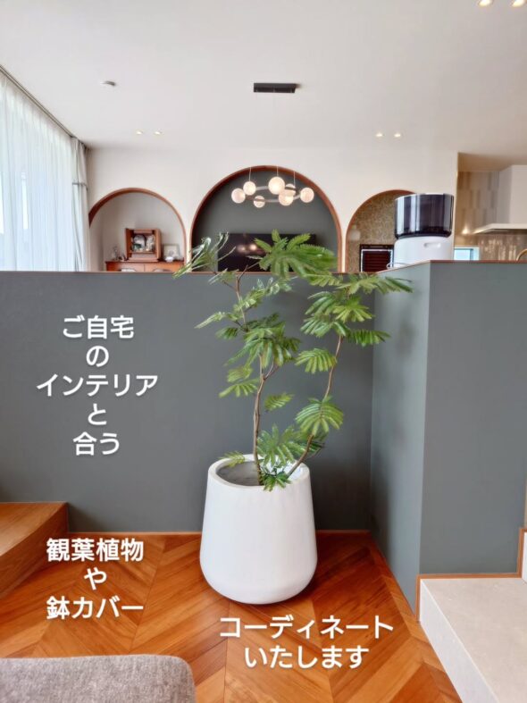 緑で彩る暮らし